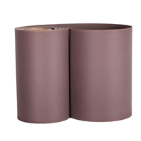 Wear-resistant PTFE rail turcite belt